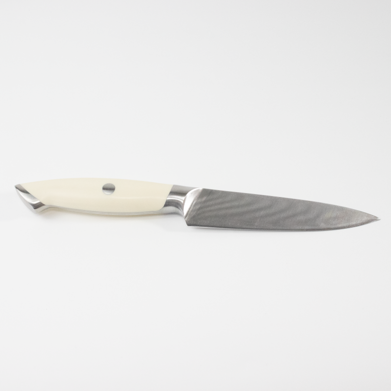 10-inch Stainless Steel Sharp Paring Knife