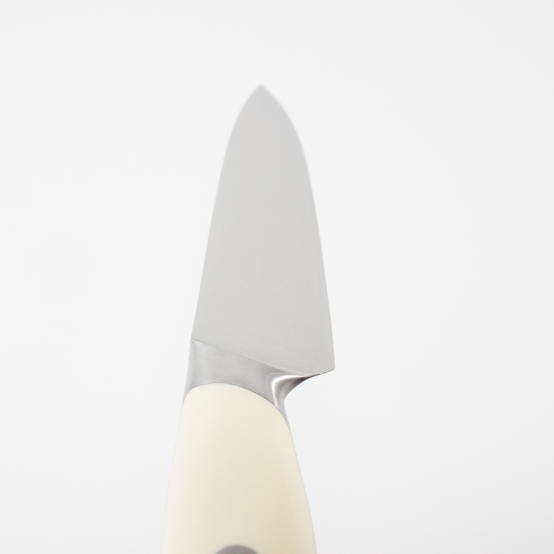 10-inch Stainless Steel Sharp Paring Knife
