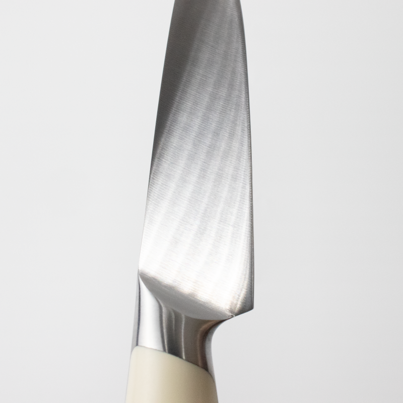 10-inch Stainless Steel Sharp Paring Knife